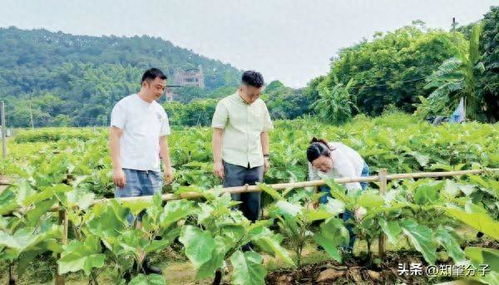 仲愷農業工程學院科技特派員團隊為肇慶農業產業發展把脈開方