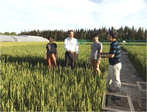 中日低碳農(nóng)業(yè)技術(shù)研討會在我院生態(tài)所低碳農(nóng)業(yè)中心成功召開