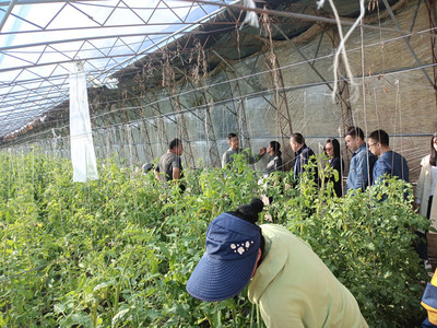 我校開展市校推進(jìn)鄉(xiāng)村振興農(nóng)業(yè)農(nóng)村領(lǐng)域項目中期檢查工作