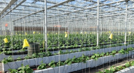 農(nóng)業(yè)技術(shù)研究員評職稱 論文要求與科研能力的重要性