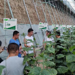 中國農(nóng)業(yè)科學(xué)院蔬菜花卉研究所 推動農(nóng)業(yè)技術(shù)創(chuàng)新的前沿力量