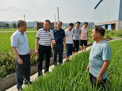 我區啟動全國五星鄉鎮農技推廣機構復核工作，深化農業技術研究與應用