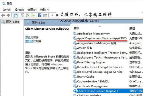 組件服務計算機卡死？解析wsappx進程占用系統資源過多導致電腦卡死的解決方法